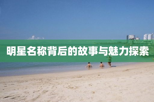 明星名称背后的故事与魅力探索