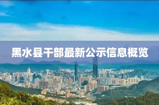 黑水县干部最新公示信息概览