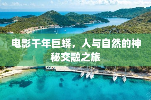 电影千年巨蟒，人与自然的神秘交融之旅