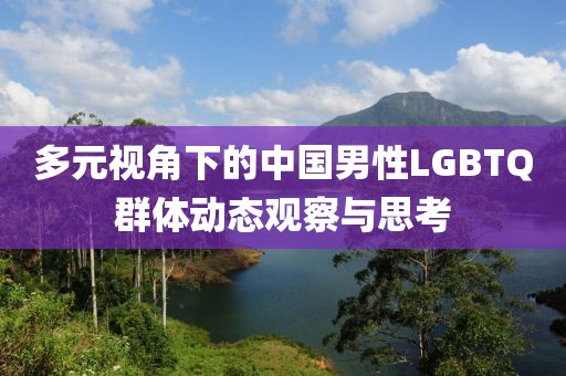 多元视角下的中国男性LGBTQ群体动态观察与思考