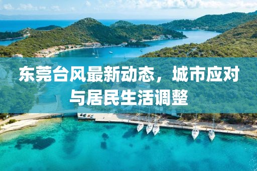 东莞台风最新动态，城市应对与居民生活调整