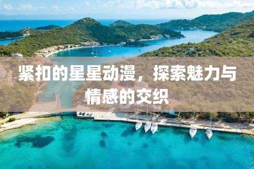 紧扣的星星动漫，探索魅力与情感的交织