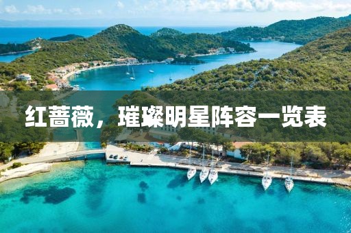 红蔷薇，璀璨明星阵容一览表