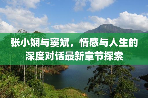 张小娴与窦斌，情感与人生的深度对话最新章节探索