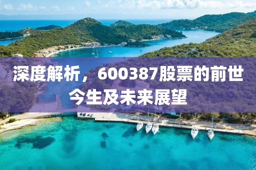 深度解析，600387股票的前世今生及未来展望