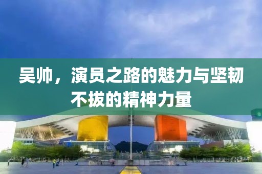 吴帅，演员之路的魅力与坚韧不拔的精神力量