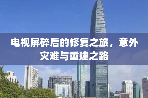 电视屏碎后的修复之旅，意外灾难与重建之路