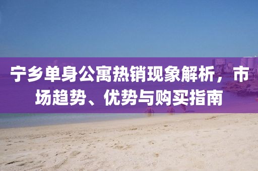 宁乡单身公寓热销现象解析，市场趋势、优势与购买指南
