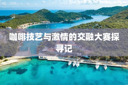 咖啡技艺与激情的交融大赛探寻记