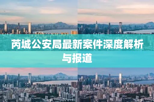 芮城公安局最新案件深度解析与报道