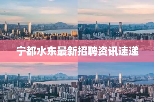 宁都水东最新招聘资讯速递