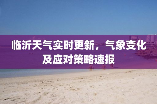 临沂天气实时更新，气象变化及应对策略速报