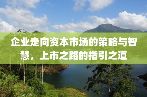 企业走向资本市场的策略与智慧，上市之路的指引之道