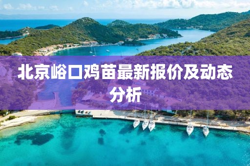 北京峪口鸡苗最新报价及动态分析