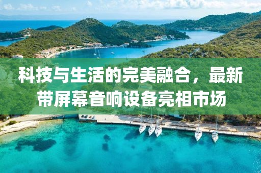 科技与生活的完美融合，最新带屏幕音响设备亮相市场