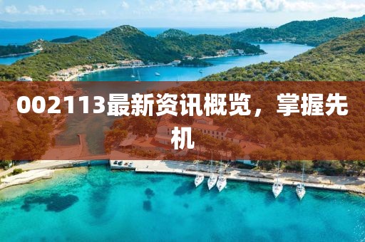 002113最新资讯概览，掌握先机