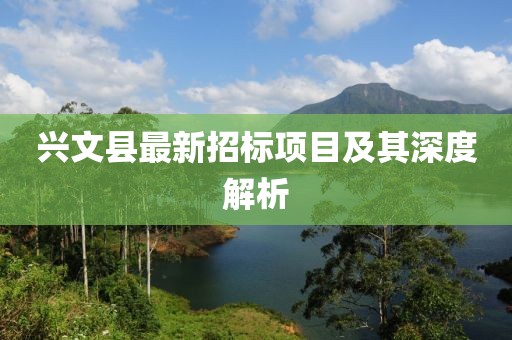 兴文县最新招标项目及其深度解析
