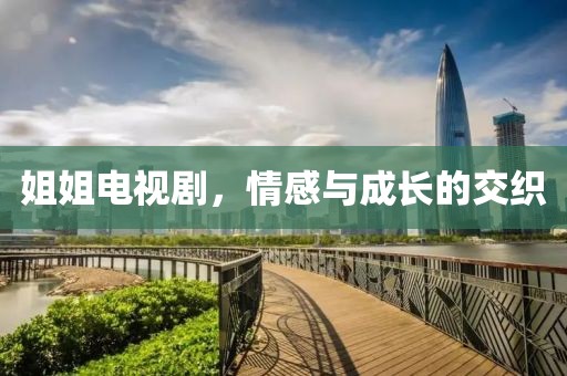 姐姐电视剧，情感与成长的交织