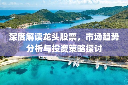 深度解读龙头股票，市场趋势分析与投资策略探讨