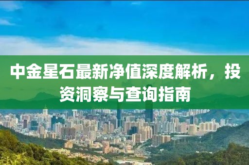 中金星石最新净值深度解析，投资洞察与查询指南