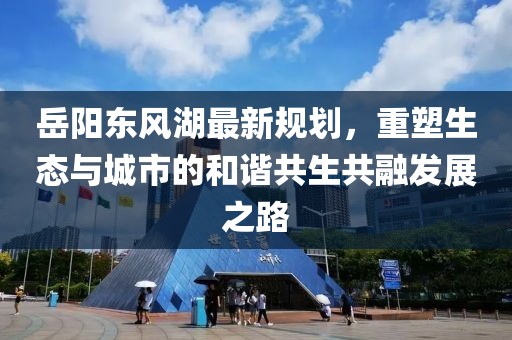 岳阳东风湖最新规划，重塑生态与城市的和谐共生共融发展之路