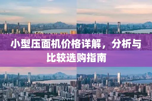 小型压面机价格详解，分析与比较选购指南