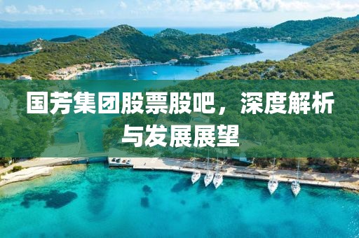 国芳集团股票股吧，深度解析与发展展望