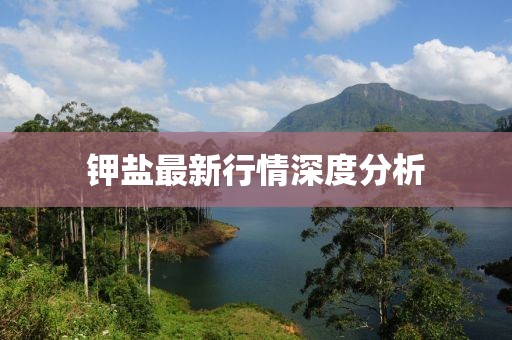 钾盐最新行情深度分析