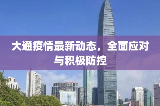 大通疫情最新动态，全面应对与积极防控