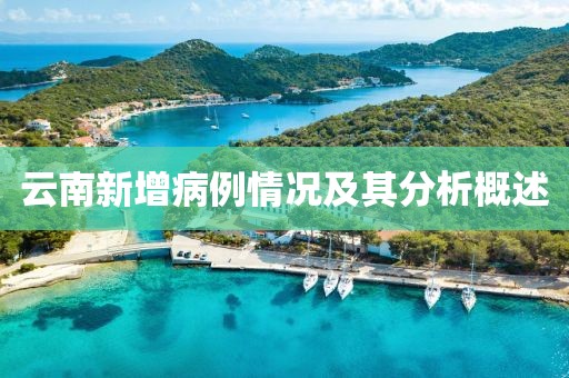 云南新增病例情况及其分析概述