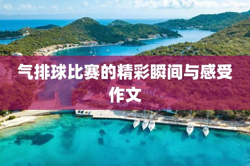 2025年2月 第7页