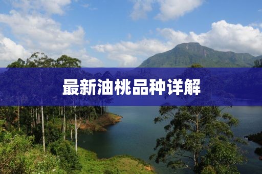 最新油桃品种详解
