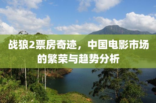 战狼2票房奇迹，中国电影市场的繁荣与趋势分析