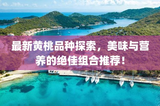 最新黄桃品种探索，美味与营养的绝佳组合推荐！