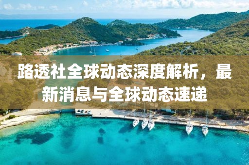 路透社全球动态深度解析，最新消息与全球动态速递