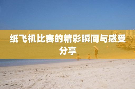 纸飞机比赛的精彩瞬间与感受分享