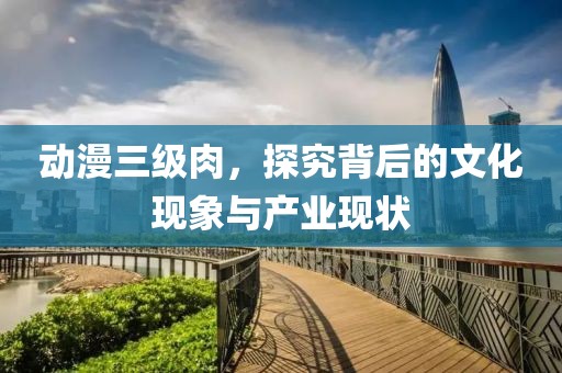 动漫三级肉，探究背后的文化现象与产业现状