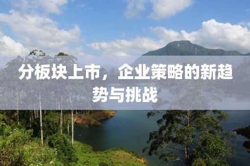 分板块上市，企业策略的新趋势与挑战