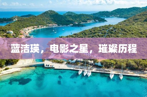 蓝洁瑛，电影之星，璀璨历程