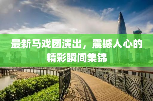 最新马戏团演出，震撼人心的精彩瞬间集锦