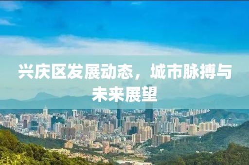 兴庆区发展动态，城市脉搏与未来展望