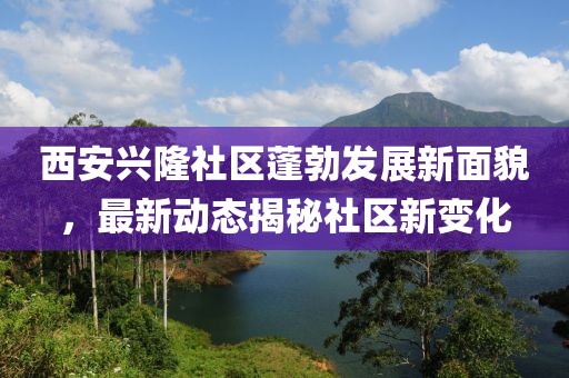 西安兴隆社区蓬勃发展新面貌，最新动态揭秘社区新变化