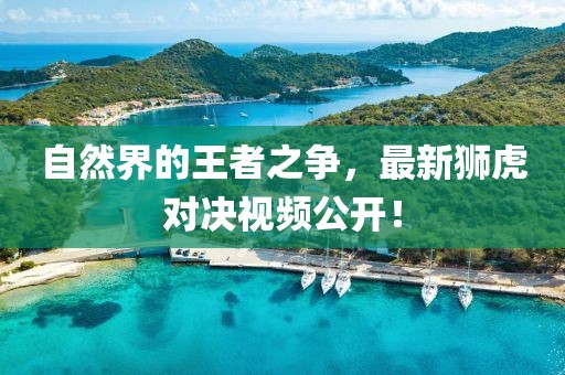自然界的王者之争，最新狮虎对决视频公开！