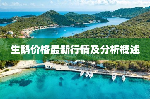 生鹅价格最新行情及分析概述