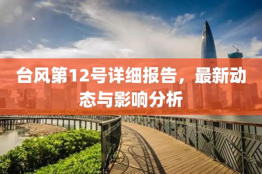 台风第12号详细报告，最新动态与影响分析