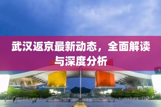 武汉返京最新动态，全面解读与深度分析