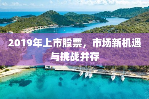 2019年上市股票，市场新机遇与挑战并存