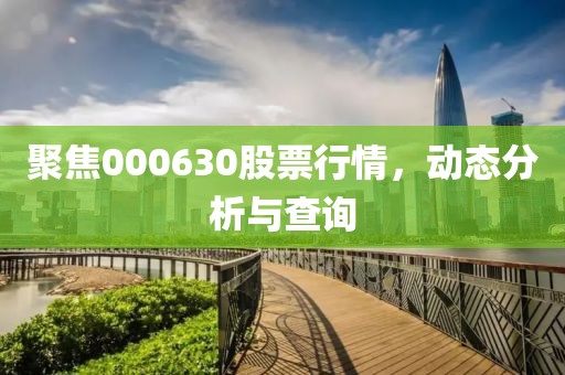 聚焦000630股票行情，动态分析与查询