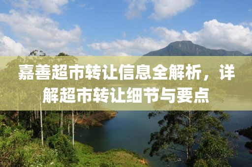 嘉善超市转让信息全解析，详解超市转让细节与要点