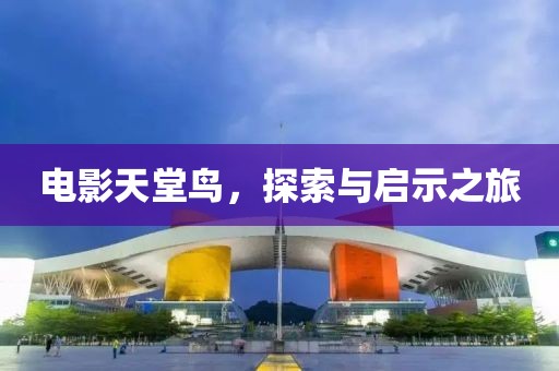 电影天堂鸟，探索与启示之旅